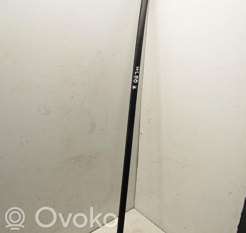 Nissan Qashqai Dachzierleiste 