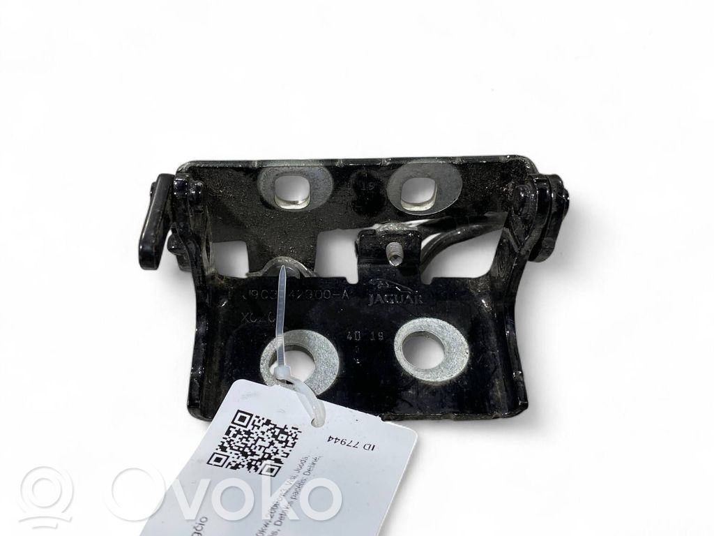 Jaguar E-Pace Tailgate/trunk/boot hinge 