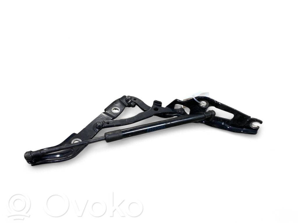 BMW M2 F87 Cerniera portellone posteriore/bagagliaio 