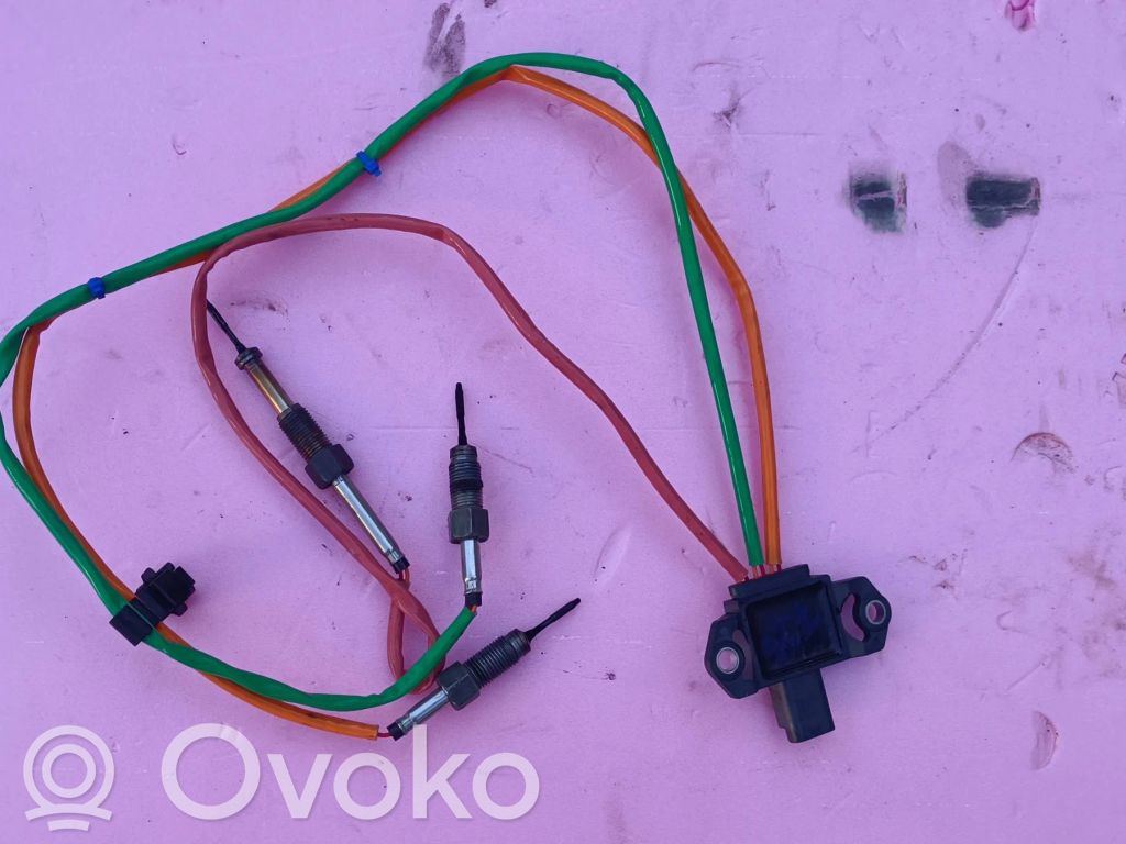 Abgastemperatursensor   226581664R,2658000901