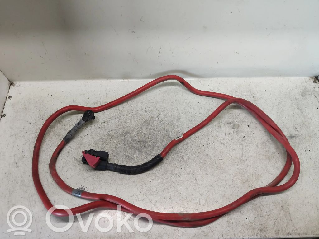 Câble de batterie positif   10299011,6941818