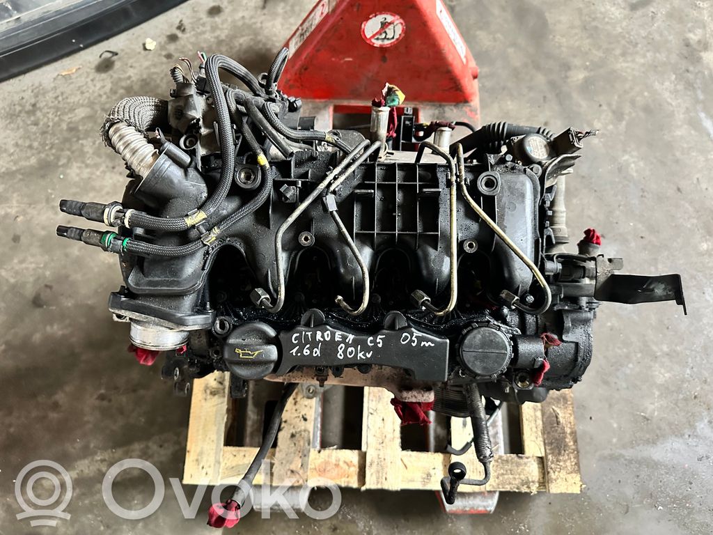 Motor   10JB10