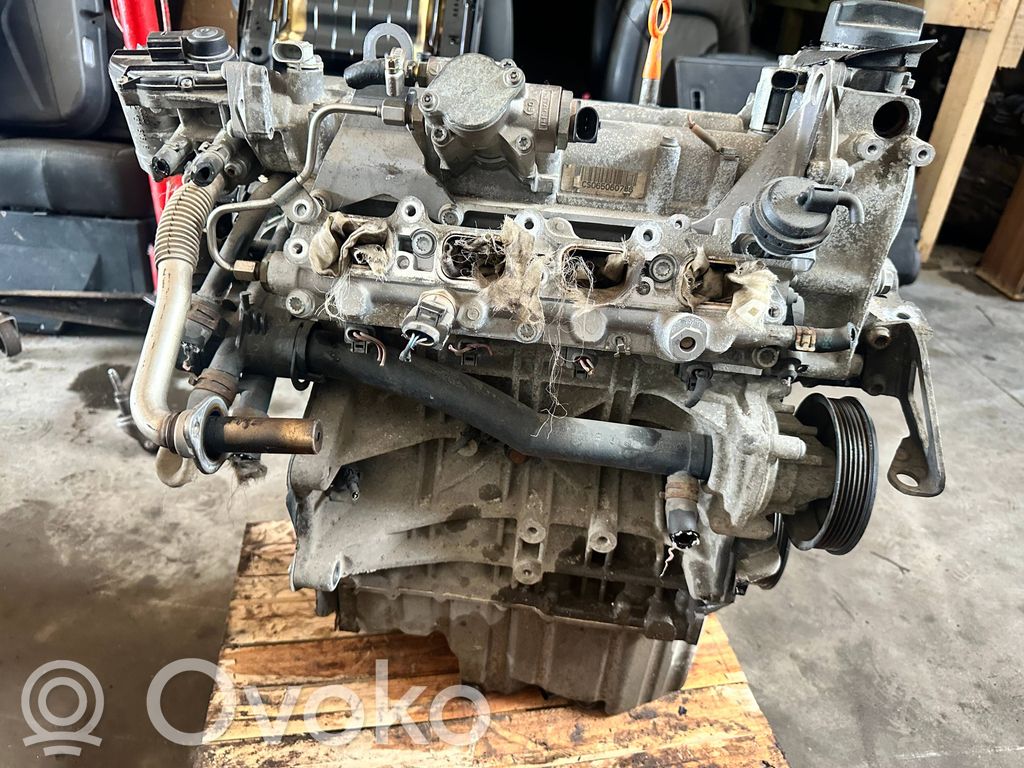 Motor   BLF