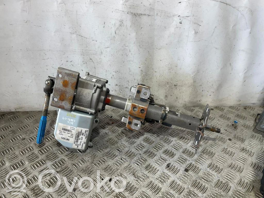 Vairas   56300100