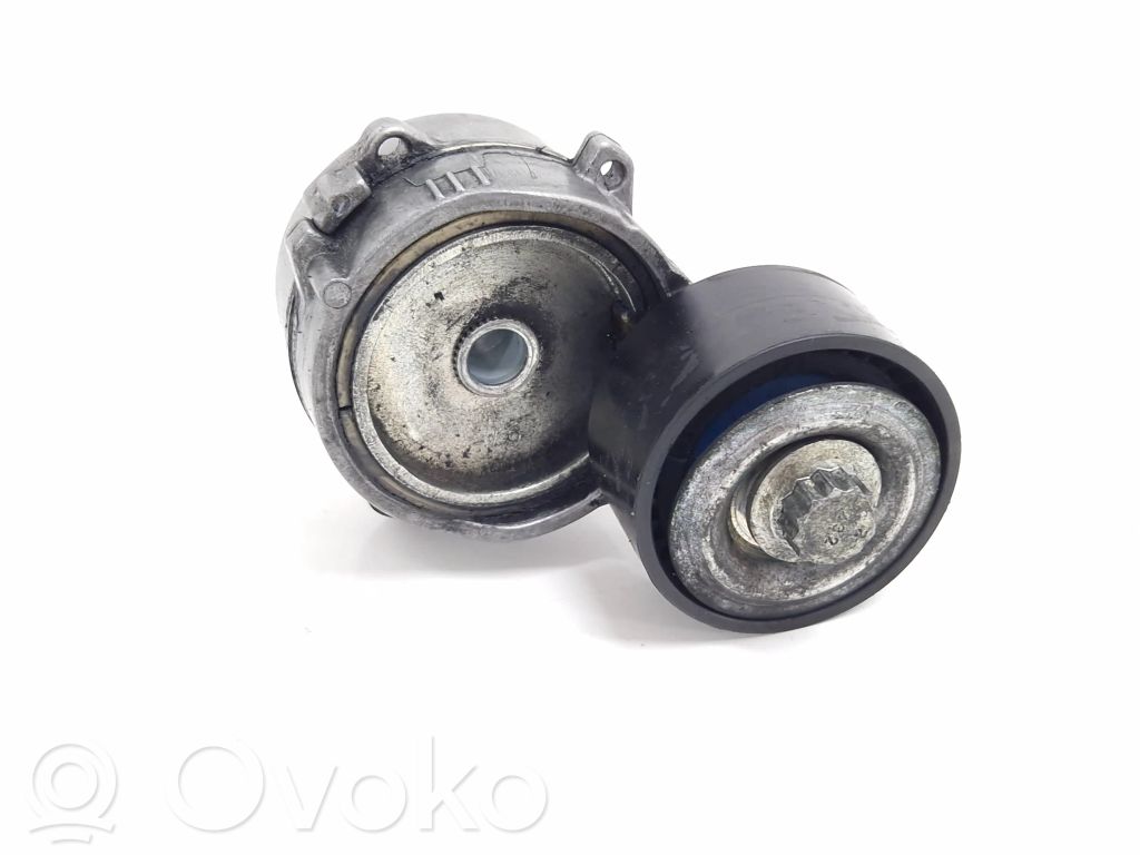 Citroen C4 II Napinacz paska alternatora 