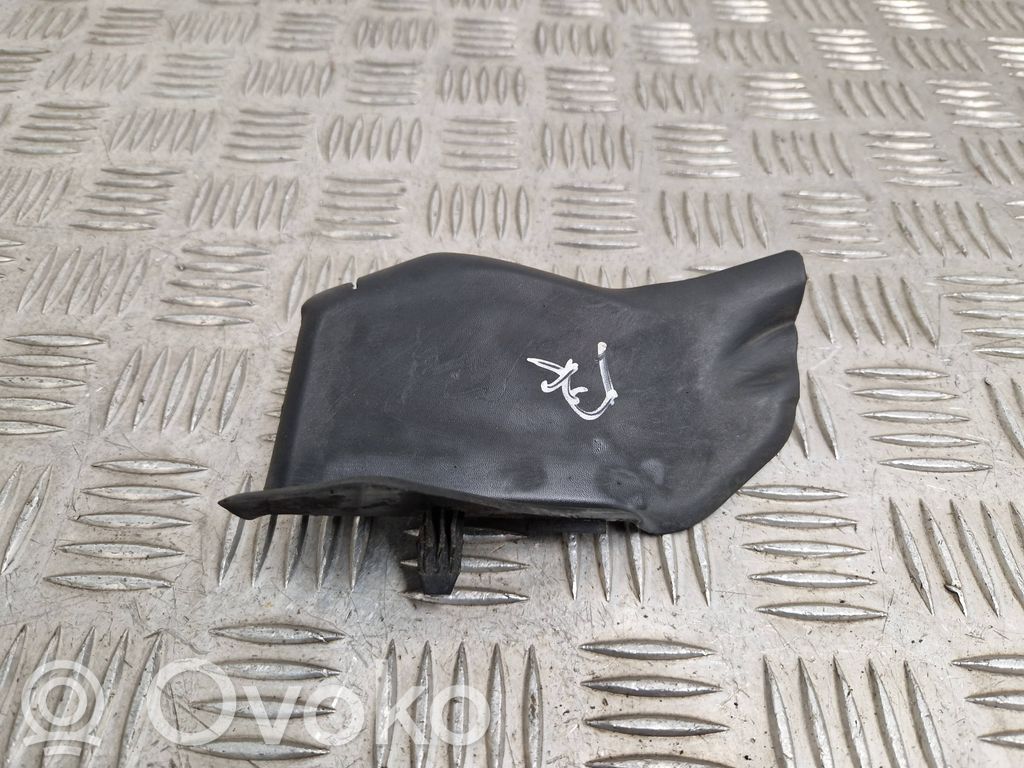 Wiper trim   9811020077