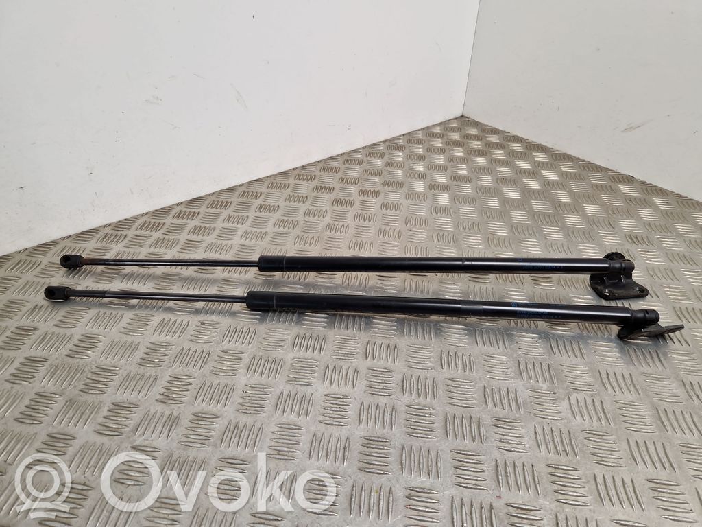 Ford Kuga II Tailgate/trunk strut/damper 