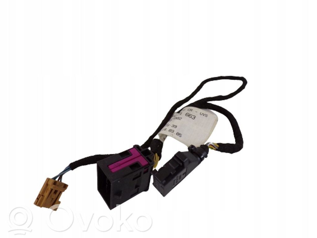 Front door wiring loom   4E0971663