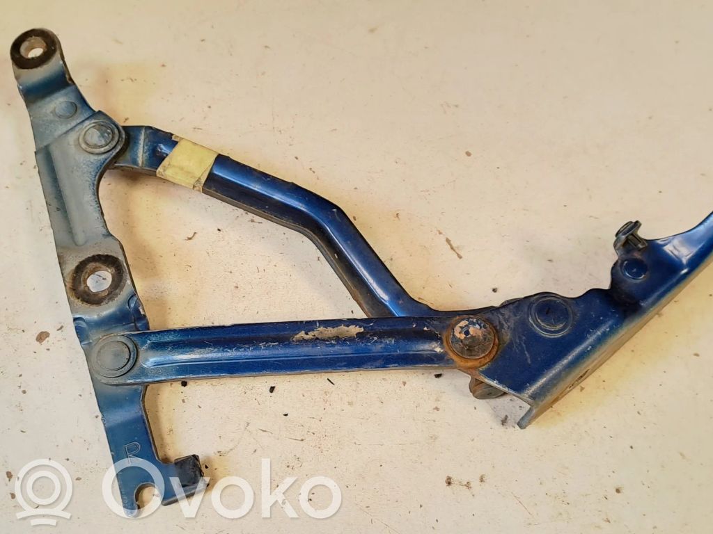 Tailgate/trunk/boot hinge