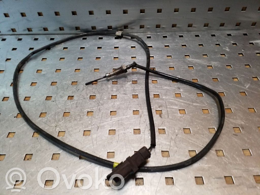 Citroen C5 Izplūdes gāzu temperatūras sensors 