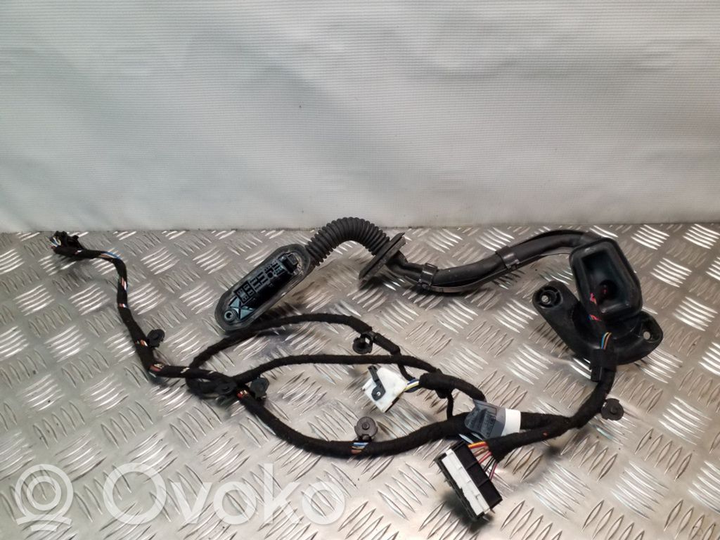 Cableado de puerta trasera   695036501,6918763