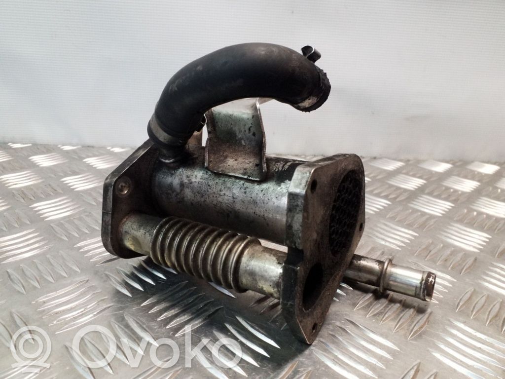Nissan Juke I F15 EGR aušintuvas 