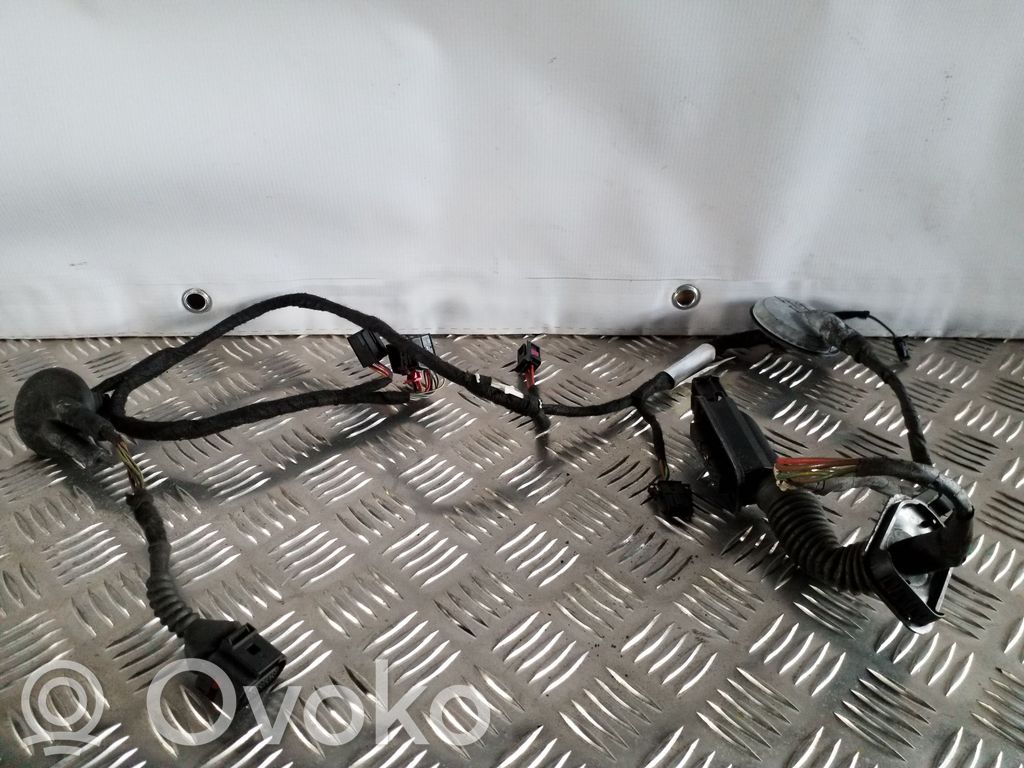 Audi A6 C7 Cableado de puerta trasera 