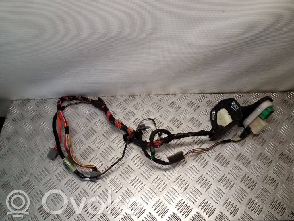 Jeep Patriot Cableado de puerta delantera 