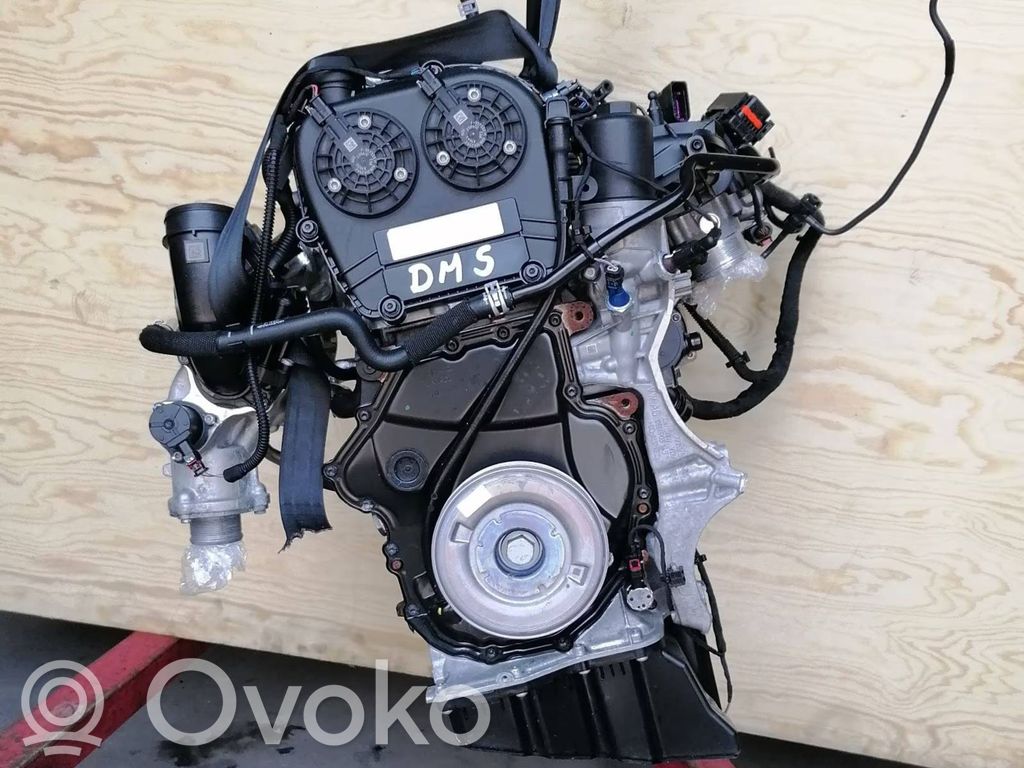 Motor completo   DMSA