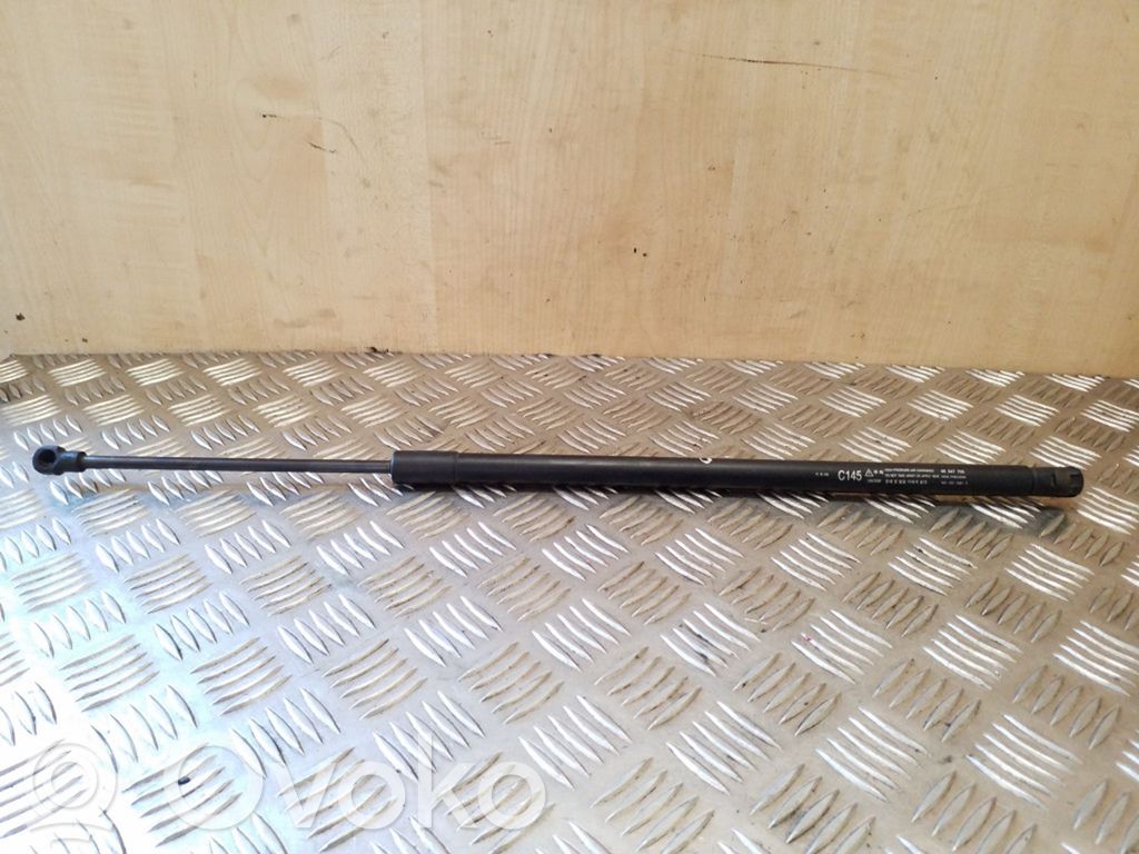 Opel Antara Rear shock absorber/damper 