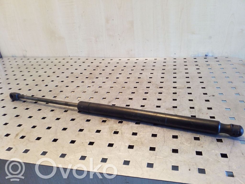 Tailgate/trunk strut/damper   G21B63620B