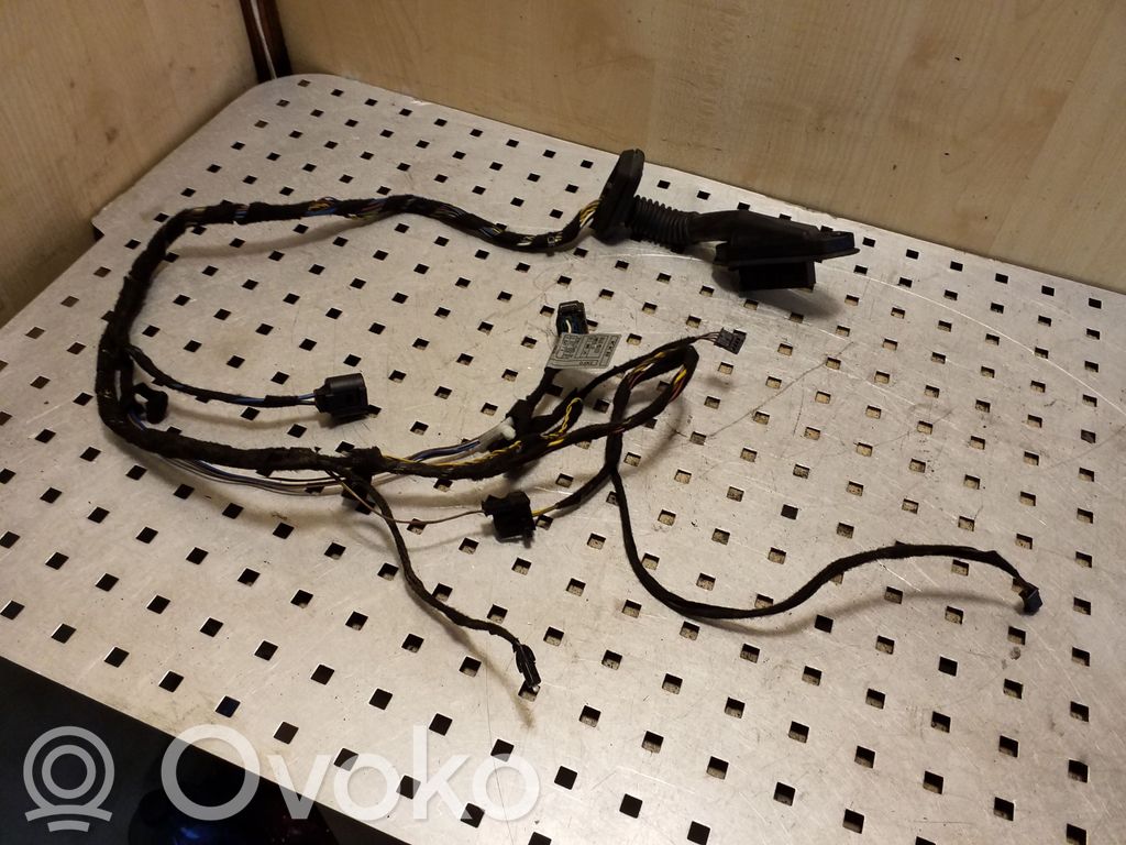 BMW X5 E53 Cableado de puerta trasera 