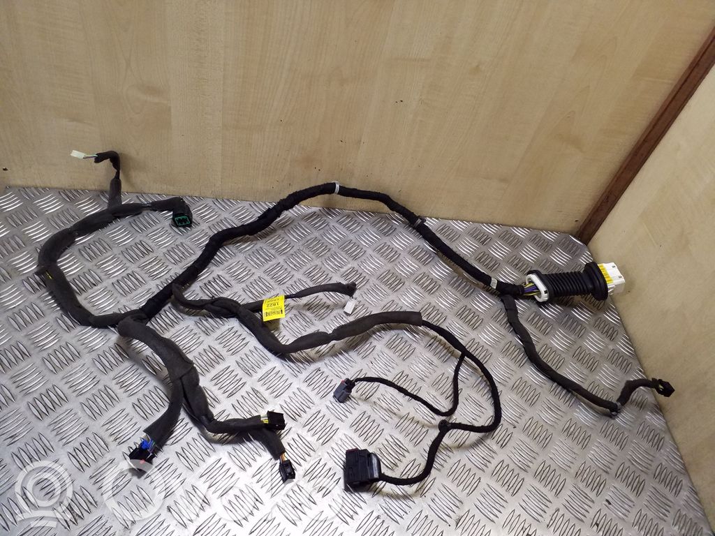 Opel Antara Cableado de puerta delantera 