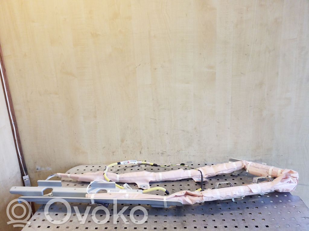 Airbag del techo   610880801B