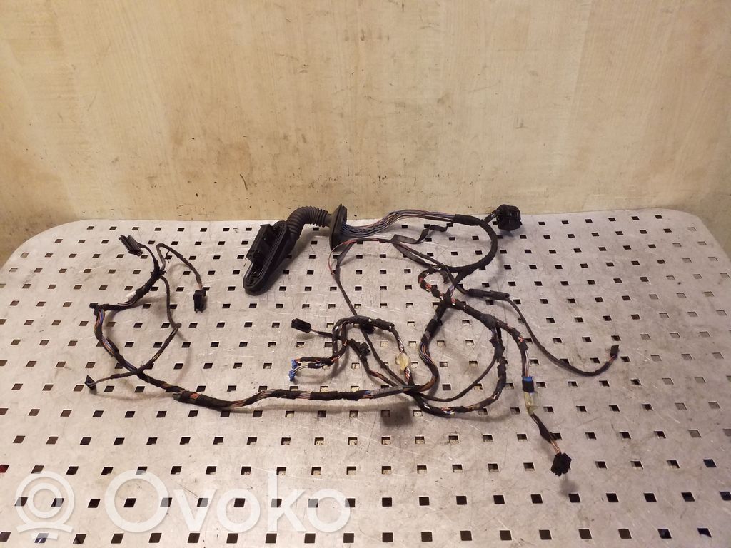 BMW X5 E70 Cableado de puerta delantera 