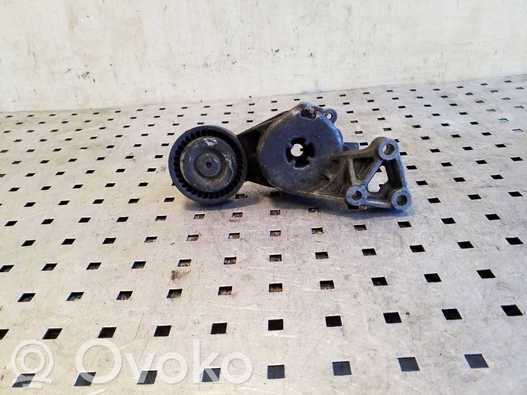 Întinzător curea generator/alternator   06A903315D