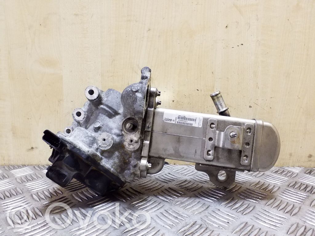 Citroen C4 I Picasso EGR-venttiili 