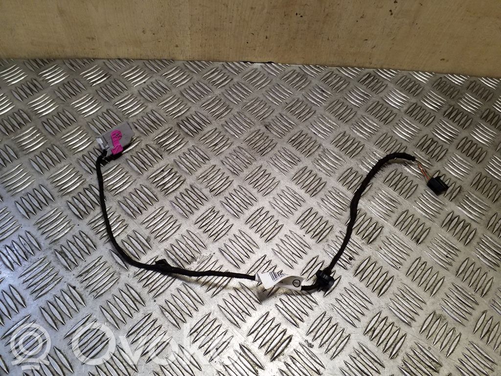 Volkswagen PASSAT B7 Cableado de puerta delantera 