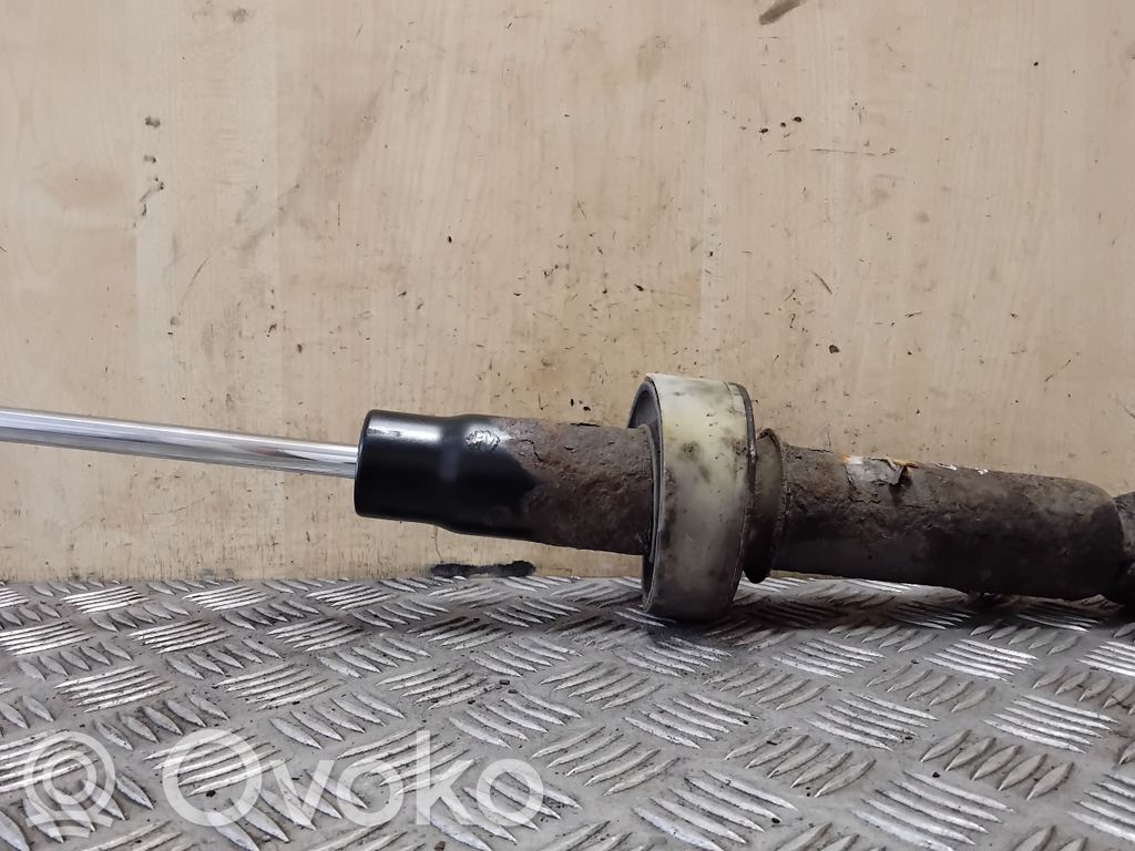 Volkswagen Touareg I Amortizor spate