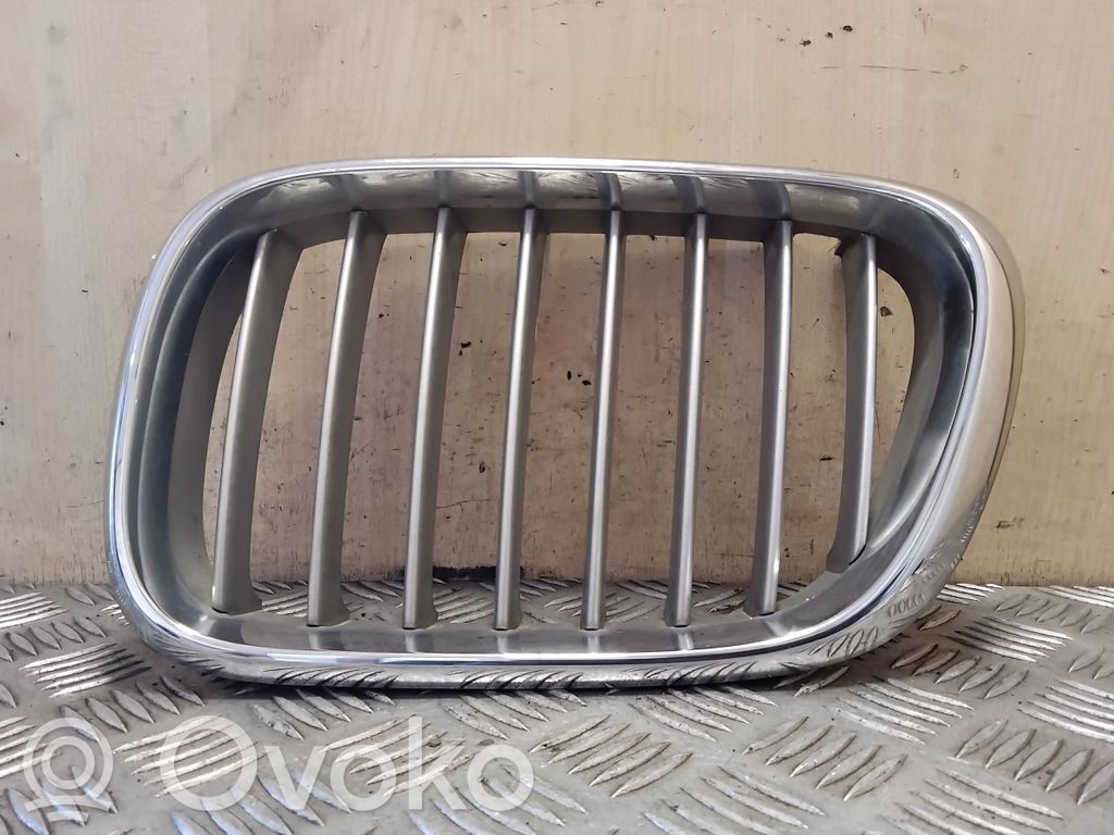 BMW X5 E53 Kühlergrill 