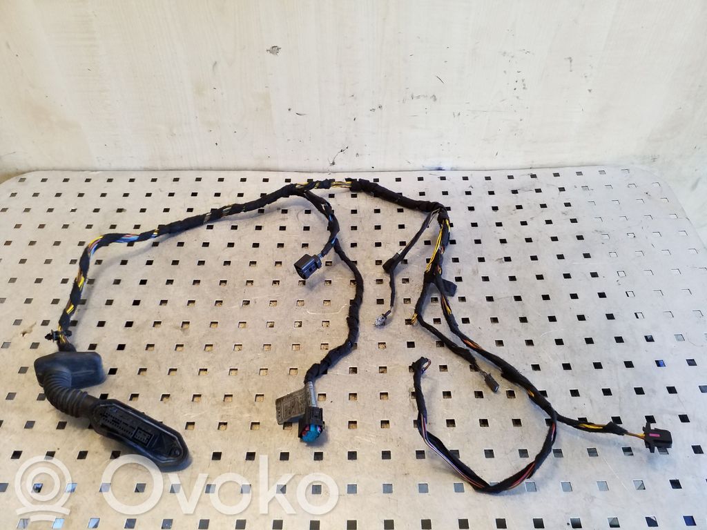 BMW X5 E53 Cableado de puerta trasera 