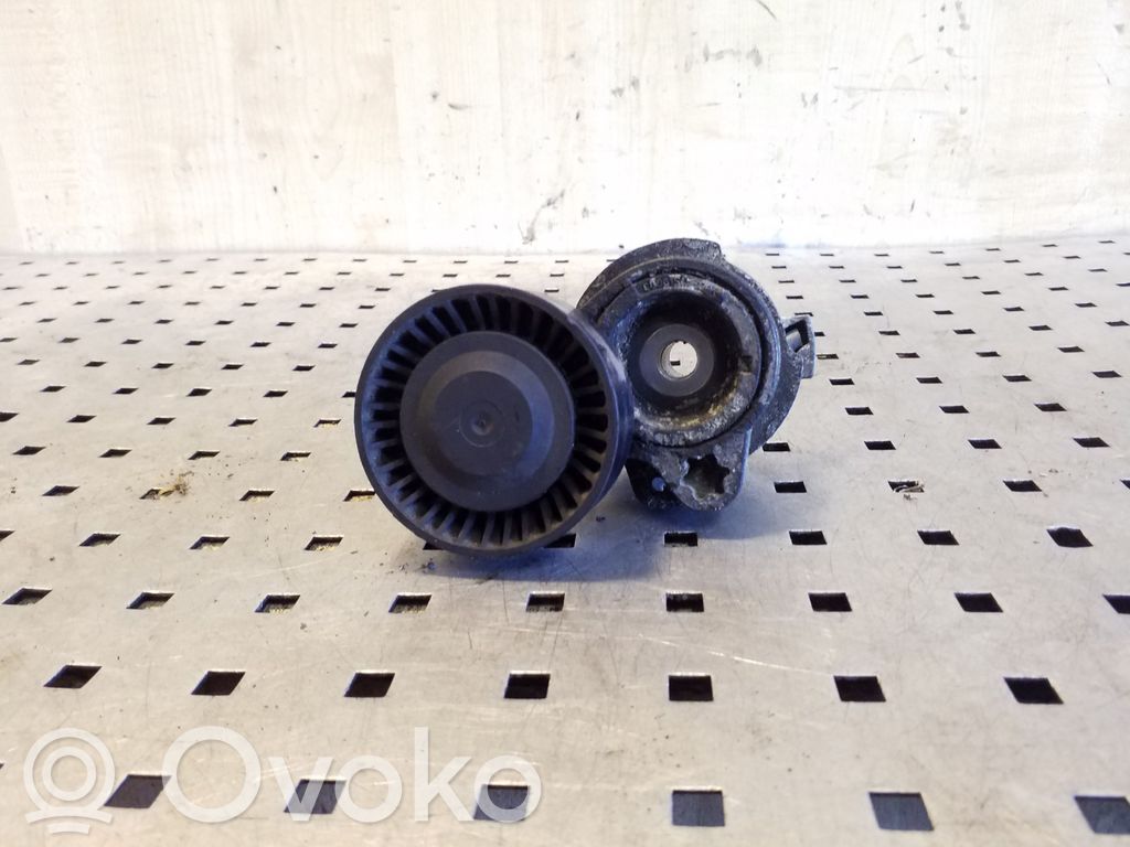 BMW X5 E53 Tensor de correa del alternador 