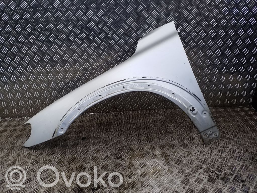 Fender