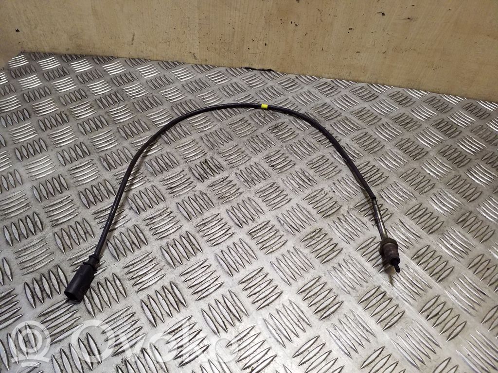 Skoda Yeti (5L) Exhaust gas temperature sensor 