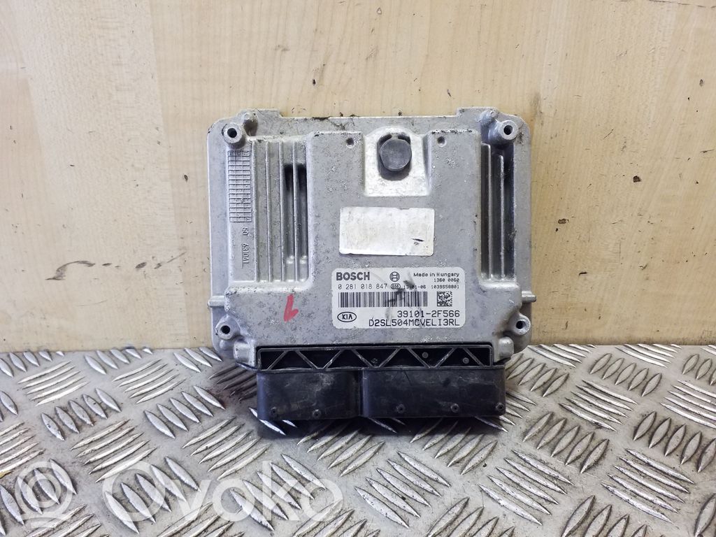 KIA Sportage Engine control unit/module 