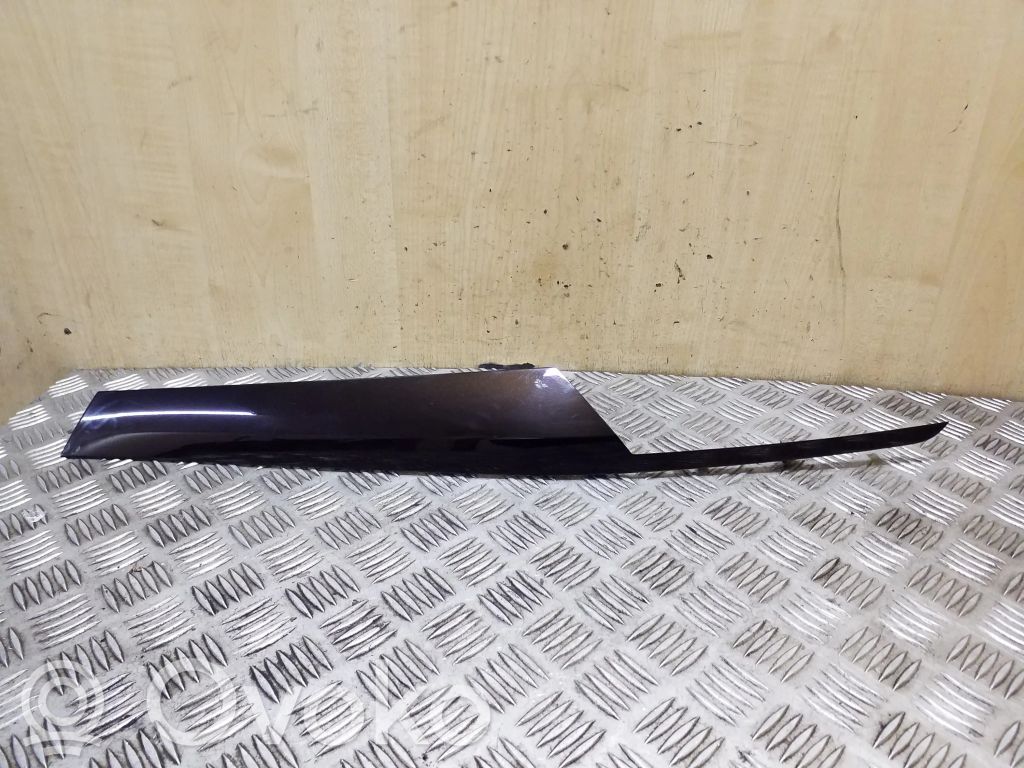 BMW X1 E84 Panel trim 