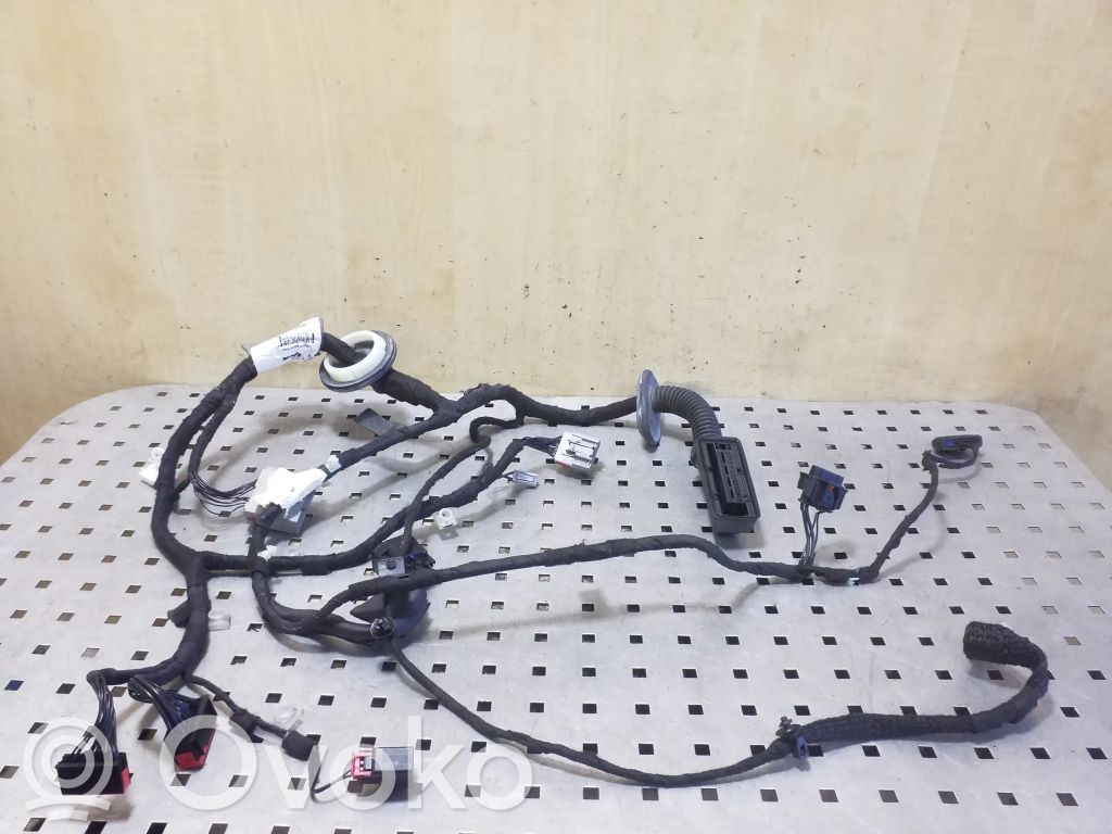 Land Rover Range Rover Sport L494 Kabelbaum Leitungssatz Tür vorne 