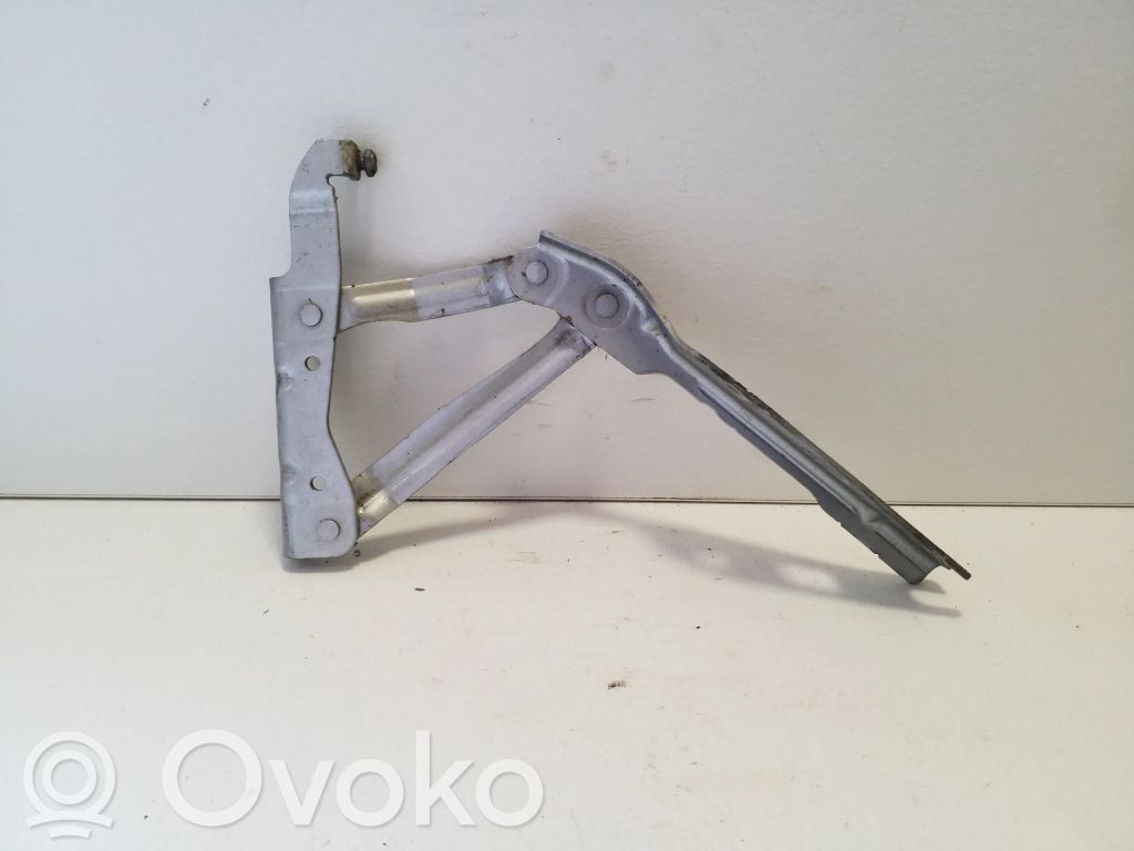 Volkswagen Eos Cerniere del vano motore/cofano