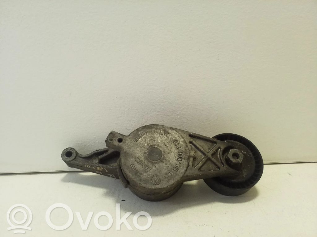 Volkswagen PASSAT B6 Tendicinghia generatore/alternatore