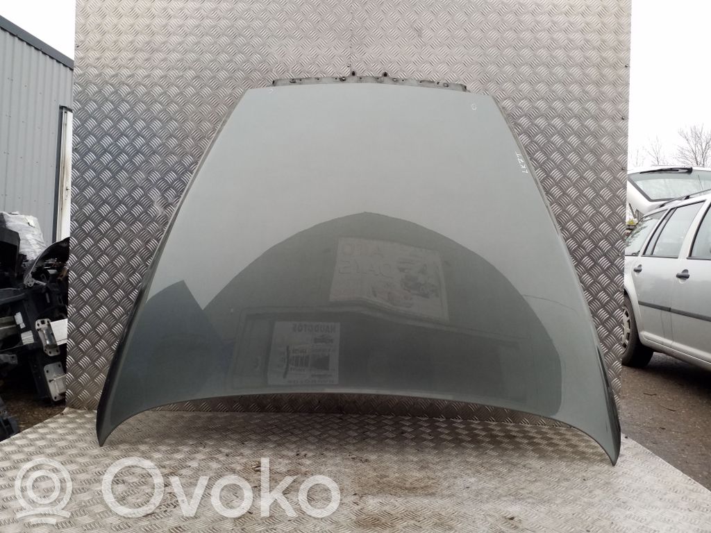 Capó/tapa del motor