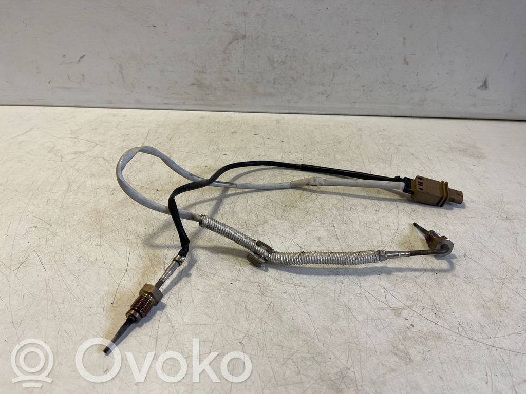 Abgastemperatursensor   8W0919519B