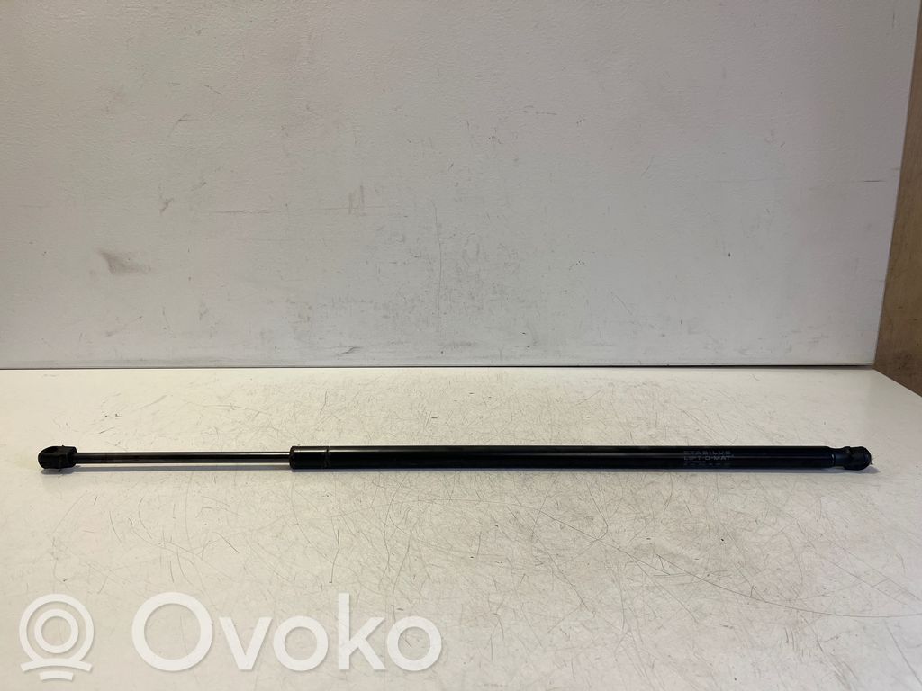 Tesla Model S Amortizor hayon 