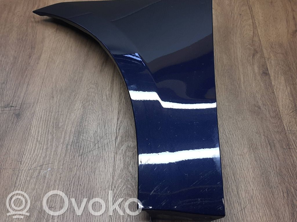 Guardabarro   95B821105C