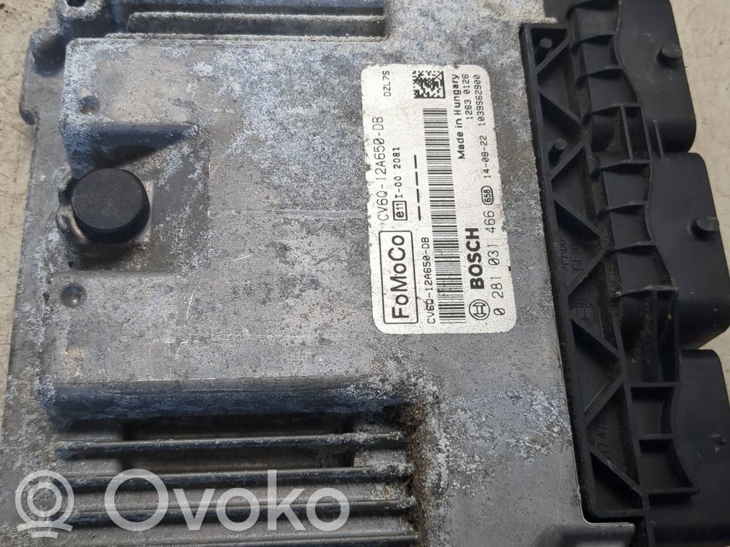 Engine control unit/module   0281031466,CV6Q12A650DB