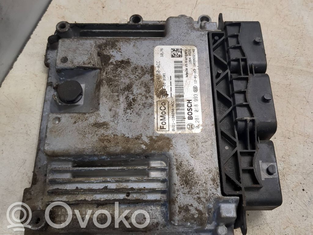 Ford Fiesta Engine control unit/module 