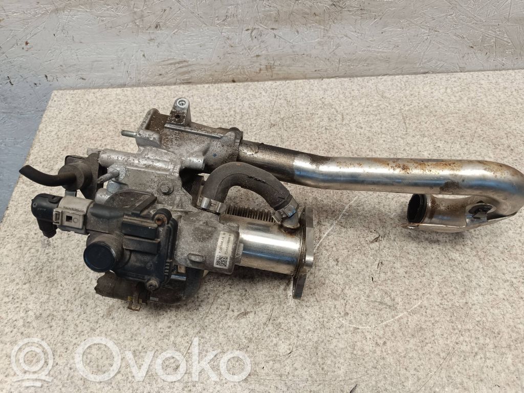 Dacia Sandero II EGR valve 