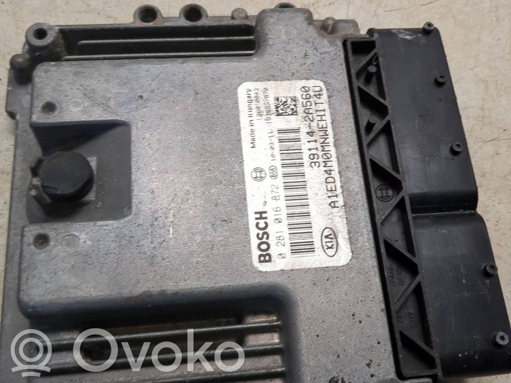 KIA Ceed Engine control unit/module 