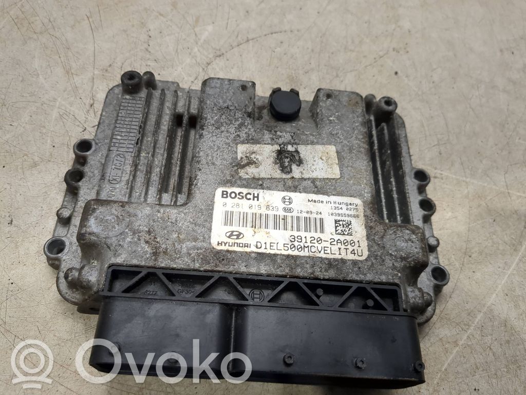 Engine control unit/module   0281019639,1039S59666,391202A001