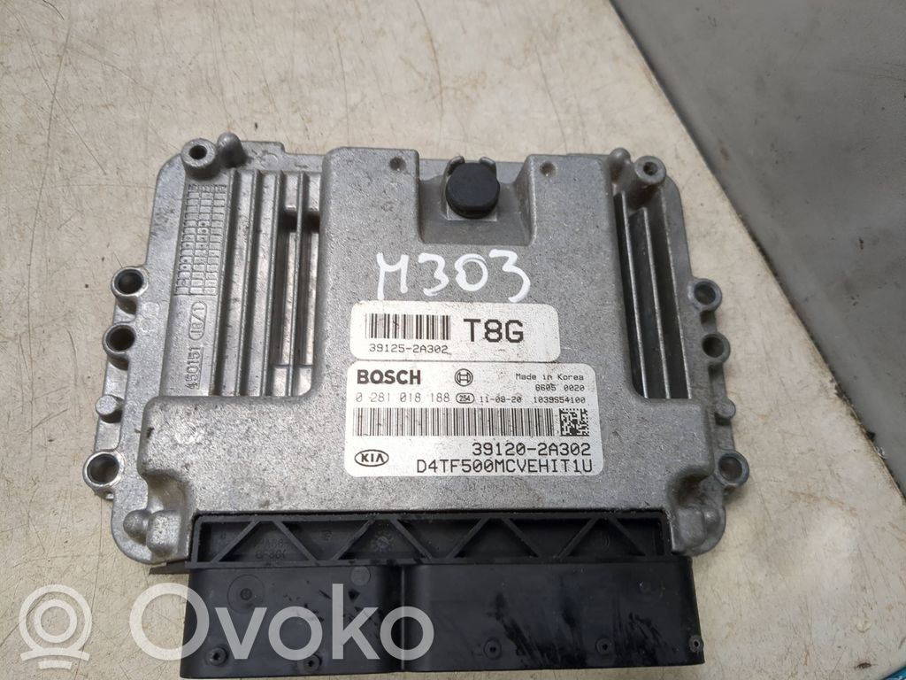 KIA Optima Engine control unit/module 
