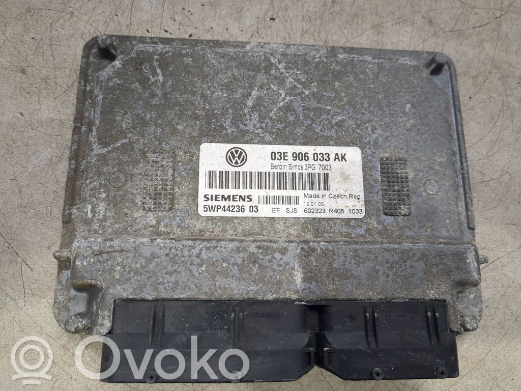 Volkswagen Polo IV 9N3 Engine control unit/module 